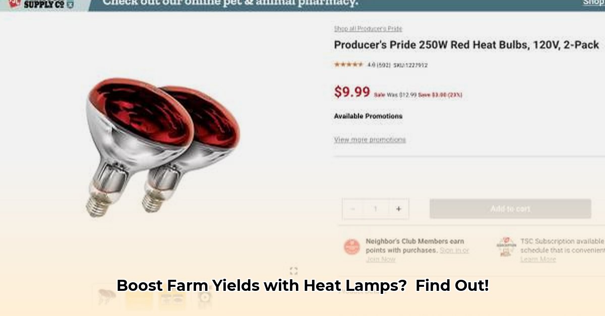 heat-lamp-tractor-supply